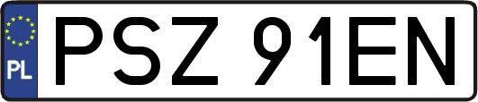 PSZ91EN