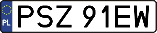 PSZ91EW