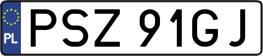 PSZ91GJ