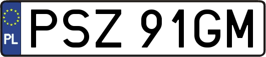 PSZ91GM