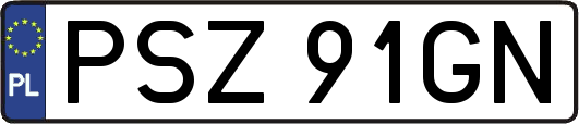 PSZ91GN