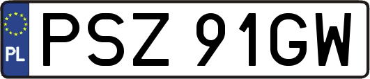 PSZ91GW