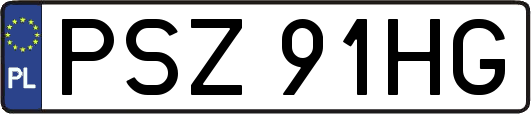 PSZ91HG