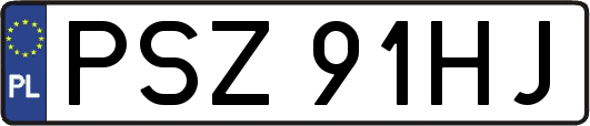 PSZ91HJ