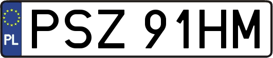 PSZ91HM