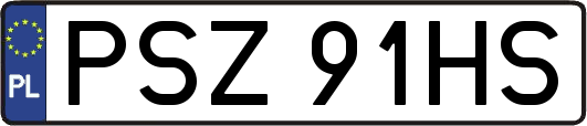 PSZ91HS