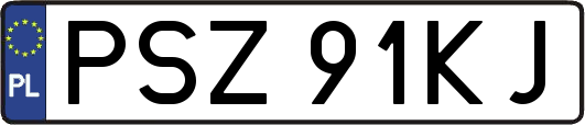 PSZ91KJ