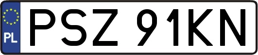 PSZ91KN