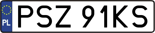 PSZ91KS