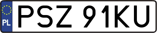 PSZ91KU