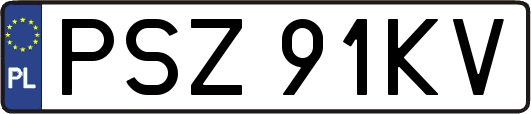 PSZ91KV