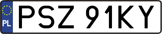PSZ91KY