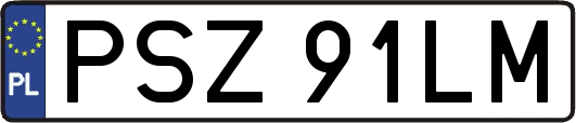 PSZ91LM