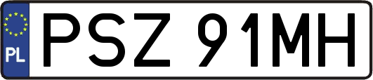 PSZ91MH