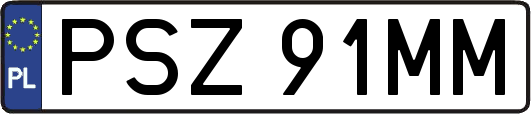 PSZ91MM