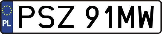 PSZ91MW