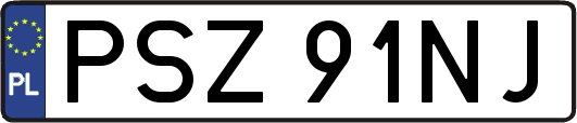 PSZ91NJ