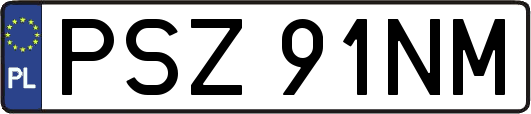 PSZ91NM