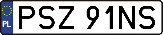 PSZ91NS