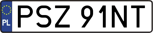 PSZ91NT