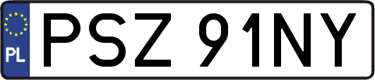 PSZ91NY