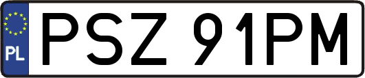 PSZ91PM