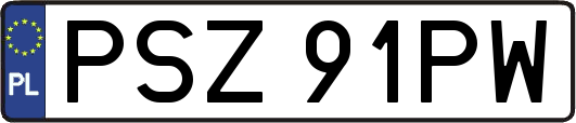 PSZ91PW