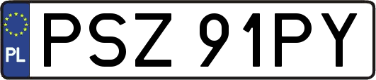 PSZ91PY