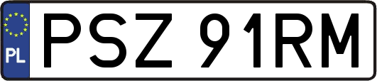PSZ91RM