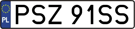 PSZ91SS