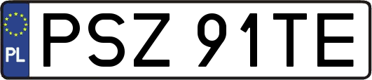 PSZ91TE
