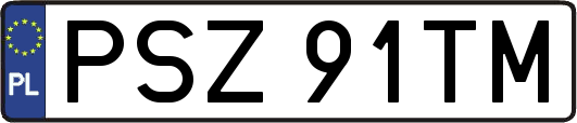PSZ91TM