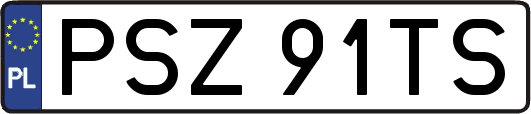 PSZ91TS