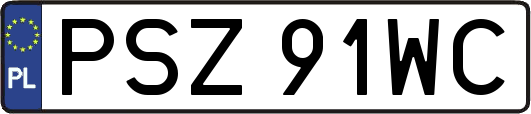 PSZ91WC