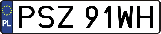 PSZ91WH