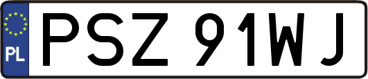 PSZ91WJ