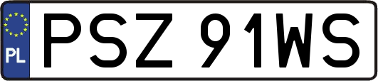 PSZ91WS