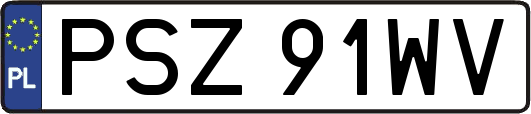 PSZ91WV