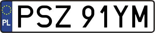 PSZ91YM