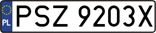 PSZ9203X
