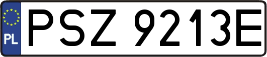 PSZ9213E
