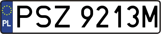 PSZ9213M