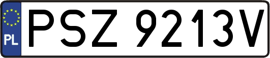 PSZ9213V