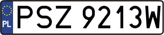 PSZ9213W