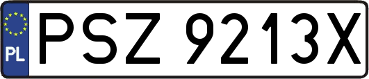 PSZ9213X