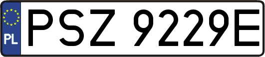 PSZ9229E