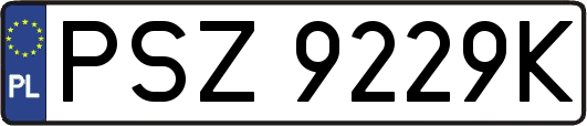 PSZ9229K