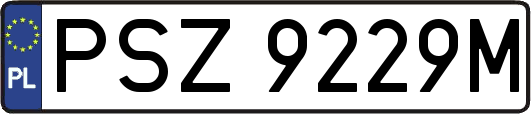 PSZ9229M