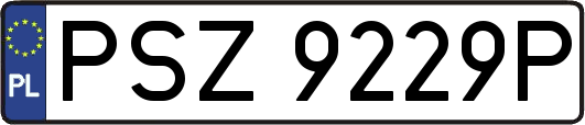 PSZ9229P