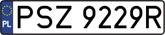 PSZ9229R